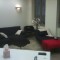 colocation bureau Lyon 2