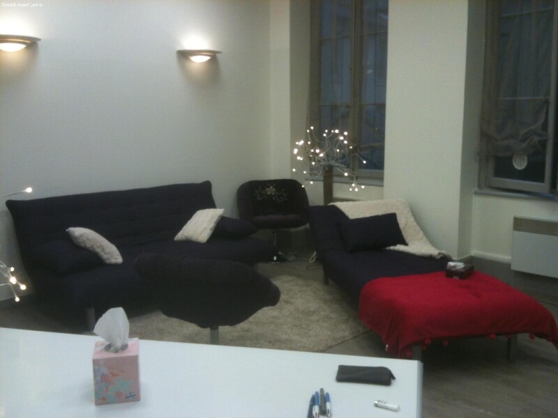 colocation bureau Lyon 2